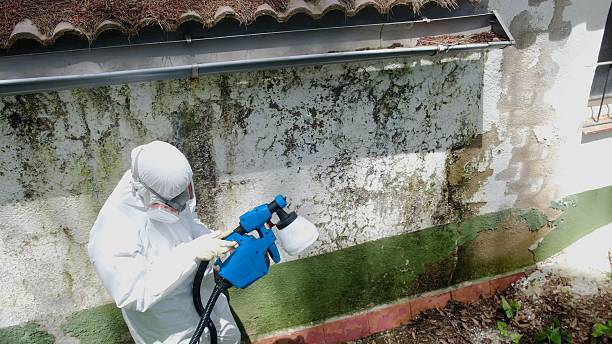 Trusted Crawl Space Mold Removal service in Bonney Lake, WA - Cheap Mold Removal